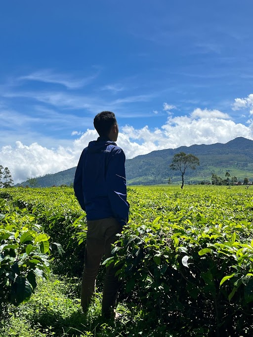 Ammar Zulkarnaen Hasibuan